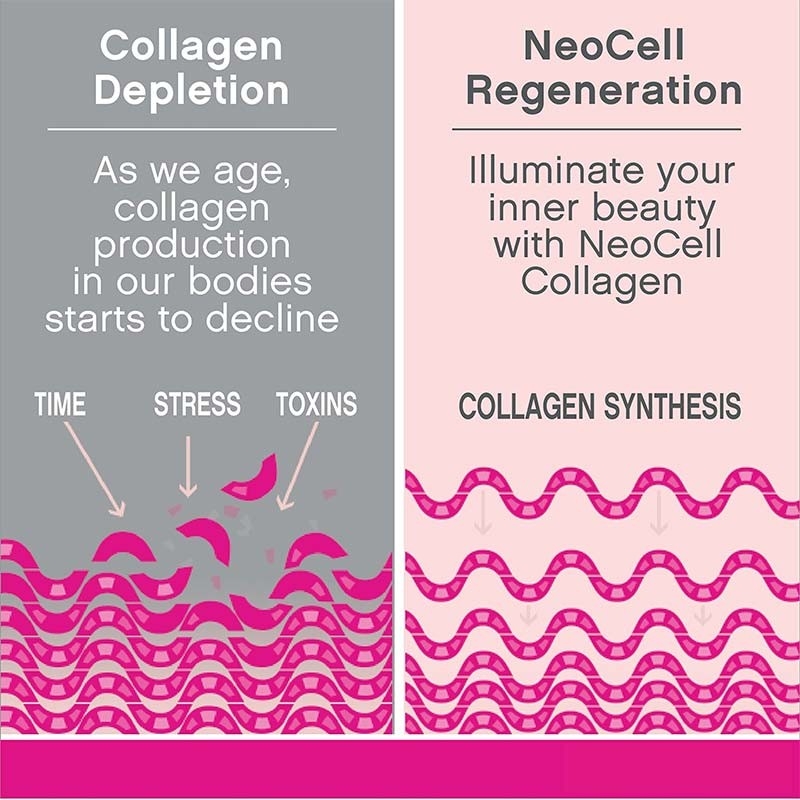 O colagênio suplementa a pele do cabelo do OEM e a vitamina orgânica C do apoio do prego marca