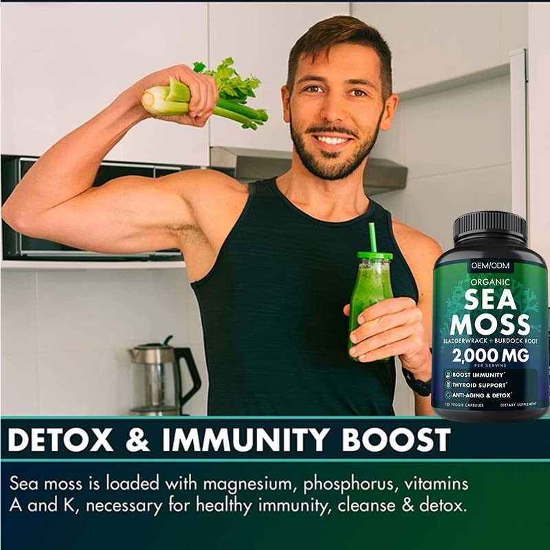 Mar orgânico Unflavored Moss Raw de Moss Capsules Wildcrafted Non GMO do mar 60 comprimidos sem glúten de Seamoss