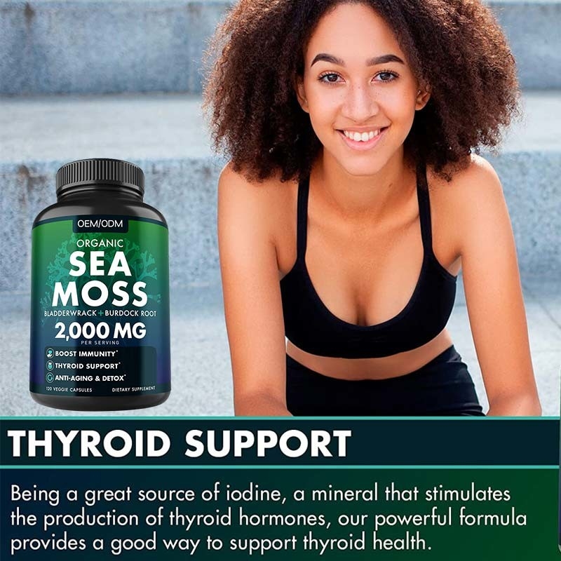 Mar orgânico Unflavored Moss Raw de Moss Capsules Wildcrafted Non GMO do mar 60 comprimidos sem glúten de Seamoss