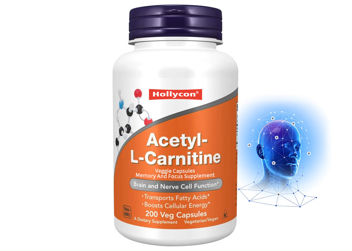OEM L-carnitina cápsula suporte para o cérebro e função das células nervosas cápsulas de vegetais suporte para a memória e foco