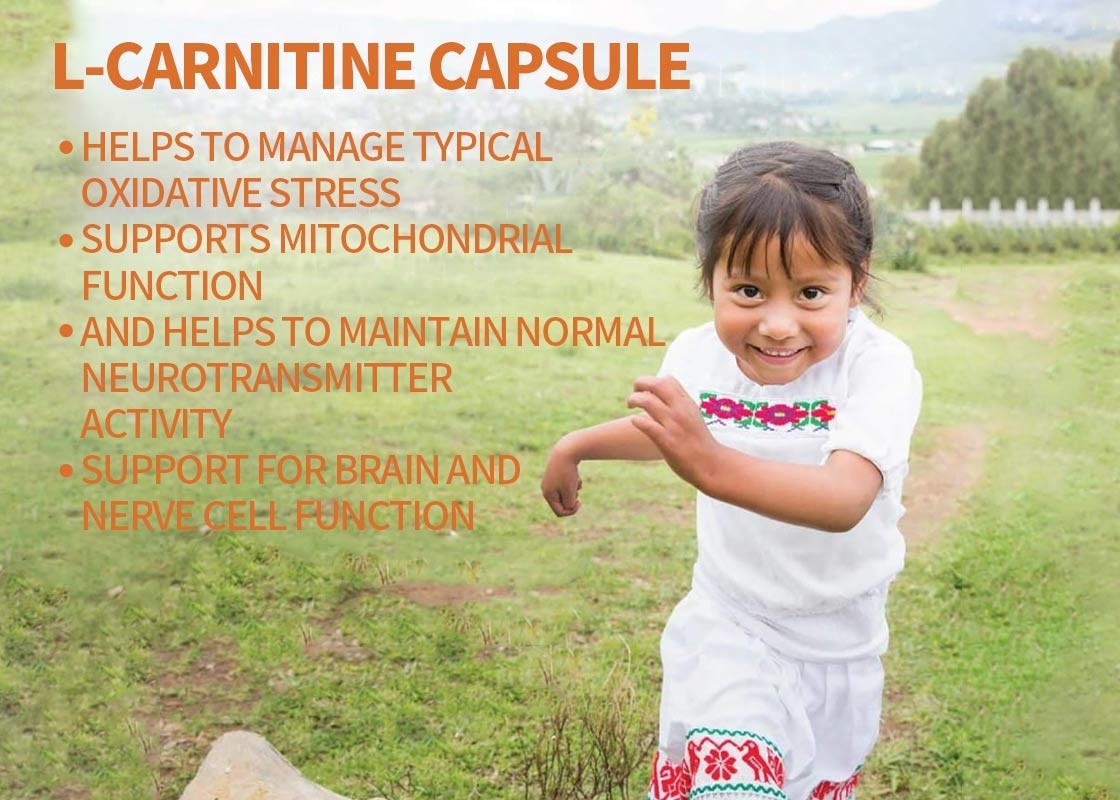 OEM L-carnitina cápsula suporte para o cérebro e função das células nervosas cápsulas de vegetais suporte para a memória e foco