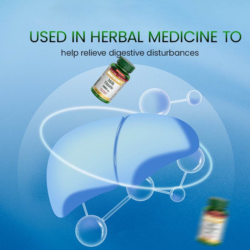 OEM Softgels de Cardo de Leite para Suporte da Função Hepática 1000mg Softgels de Cardo de Leite