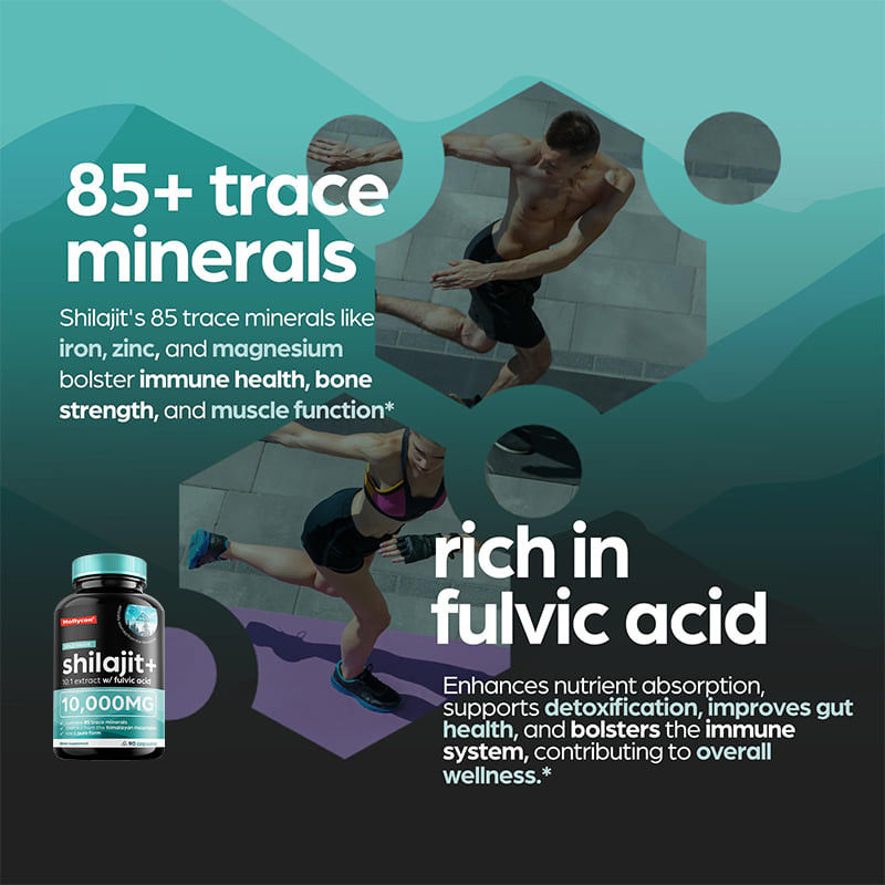 OEM Pure Himalayan Shilajit 10000mg cápsulas orgânicas de Shilajit para suporte imunológico