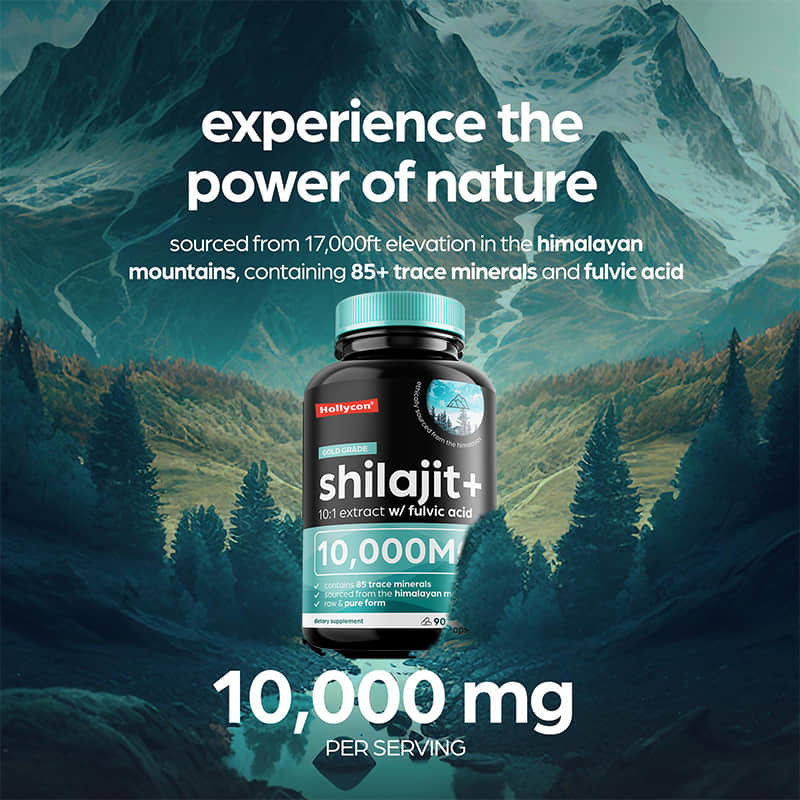 OEM Pure Himalayan Shilajit 10000mg cápsulas orgânicas de Shilajit para suporte imunológico
