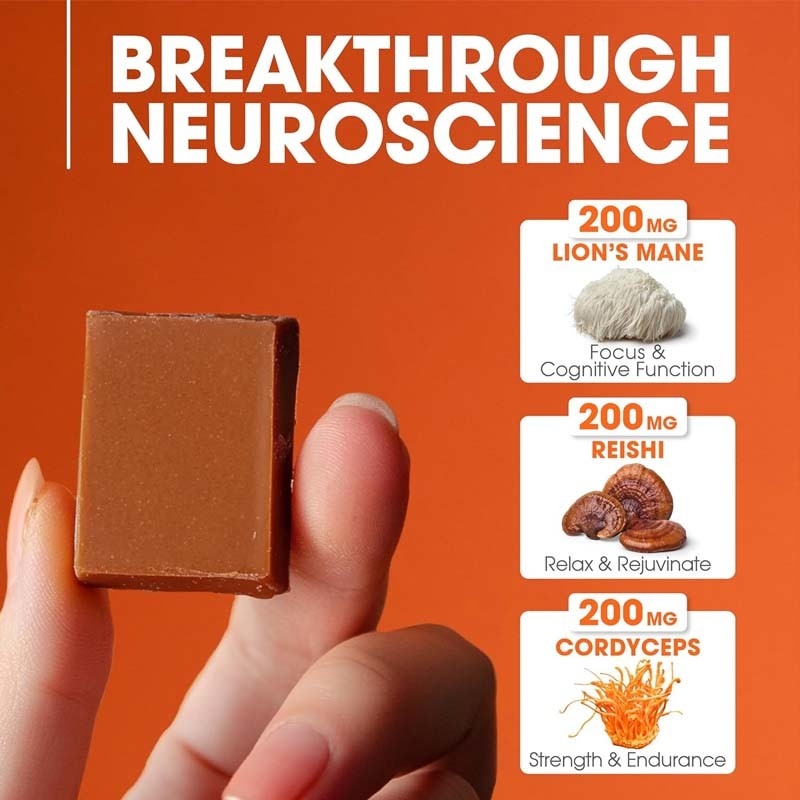 Fábrica Plantas Cordyceps Cogumelos Nootrópicos Apoio Energético Foco Saúde do Cérebro Imunidade Ganoderma Lucidum Cogumelos Maciços Macios