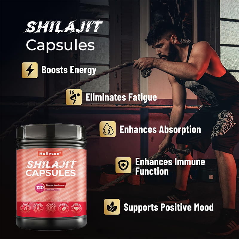 Shilajit cápsulas de venda quente Suplemento de Shilajit orgânico puro do Himalaia para homens Suporte imunológico aumento de energia