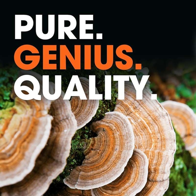 OEM Promover o Bem-Estar Geral Mecanismos de Defesa Natural do Corpo Combater Problemas Oxidativos Cápsulas de Cauda de Turquia