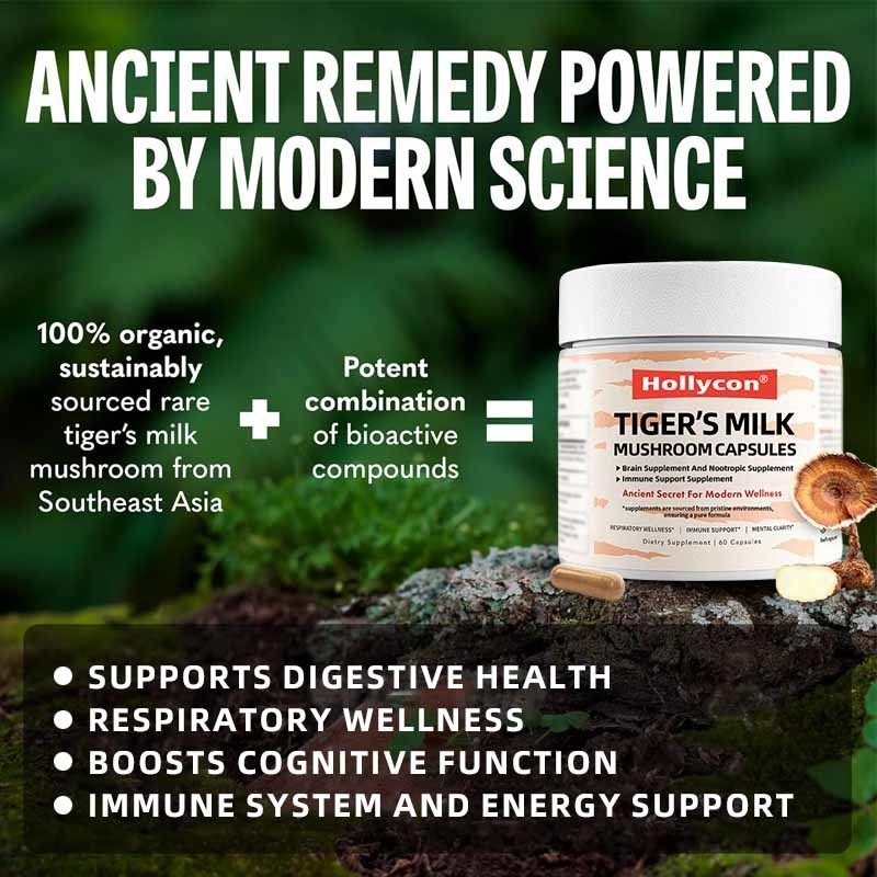Suplemento de cogumelos Crescimento do cabelo Intestino Digestivo Cérebro Pulmão Saúde Cognitivo Foco Respiratório Tigre Leite Cogumelos Cápsulas