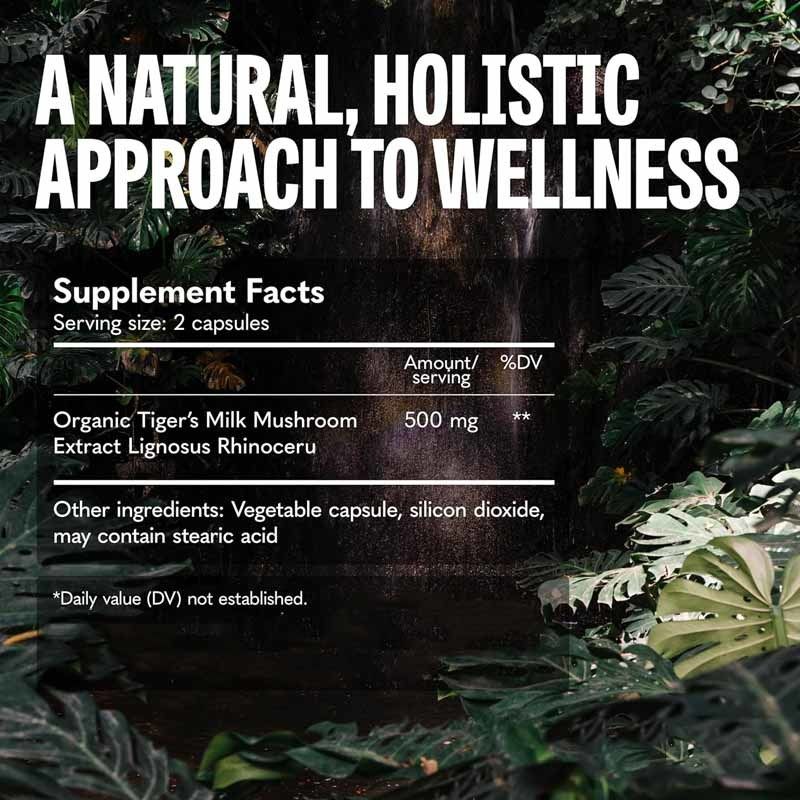 Suplemento de cogumelos Crescimento do cabelo Intestino Digestivo Cérebro Pulmão Saúde Cognitivo Foco Respiratório Tigre Leite Cogumelos Cápsulas