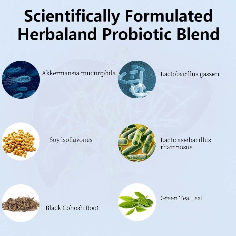 Suplementos probióticos para menopausa feitos de fábrica OEM / ODM para mulheres - 60 bilhões de UFC Probióticos Akkermansia para equilíbrio hormonal, suores noturnos, alívio de ondas de calor, saúde intestinal, fórmula personalizada