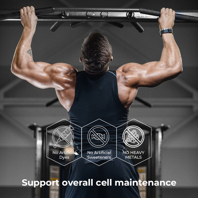 Shilajit de Marca Privada Gomes para Homens Suplemento Sem Açúcar de Ácido Fúlvico Manter níveis normais de energia e função imunológica