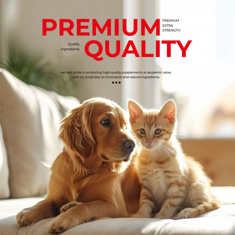 OEM Melhorar a saúde intestinal Digestão Cães Vitaminas e suplementos Suplemento de saúde para gatos e cães Probióticos para animais de estimação cápsulas