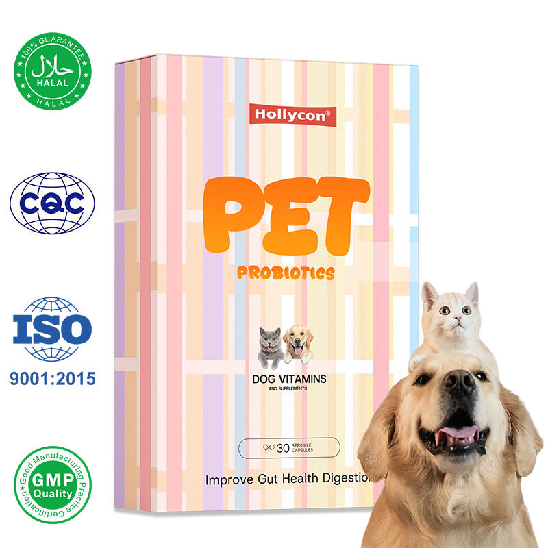 OEM Melhorar a saúde intestinal Digestão Cães Vitaminas e suplementos Suplemento de saúde para gatos e cães Probióticos para animais de estimação cápsulas