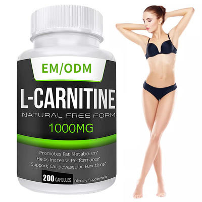 MSDS Suplementos de redução de gordura Nutrição Extra Força L-carnitina cápsulas de emagrecimento