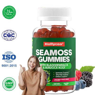 Goma de musgo do mar irlandês 1000mg Bladderwrack Goma de musgo do mar para suporte digestivo