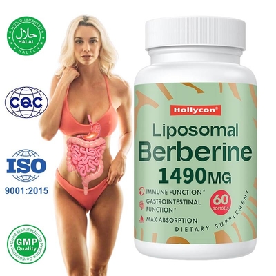 Suplemento de berberina lipossomal Gel de berberina lipossomal para suporte imunológico