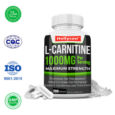 A L-carnitina promove o metabolismo da gordura e o controlo do peso.