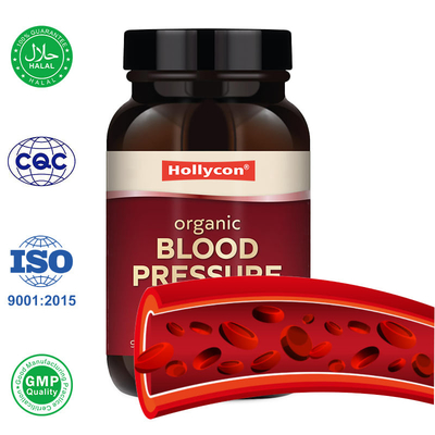 Fábrica Grátis Suplementos para pressão arterial Antioxidante Extracto de sementes de uva orgânica