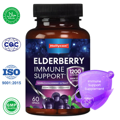 Fábrica Sambucus Black Elderberry cápsulas Suplemento de Suporte Imune Antioxidante
