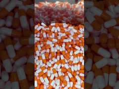 Superalimento de cogumelos cápsulas diárias de reforço